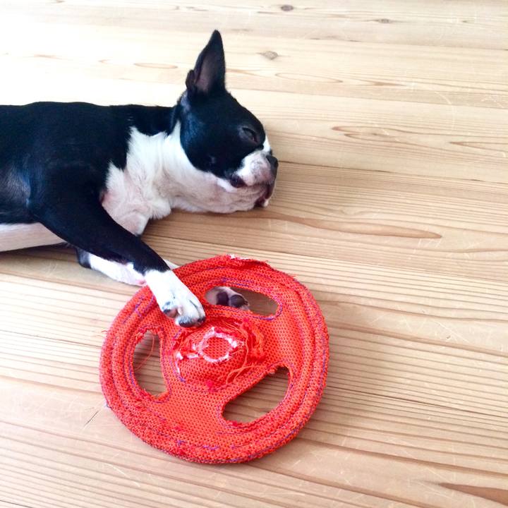 E913bf20 6c95 45a7 ad24 d4e317467636