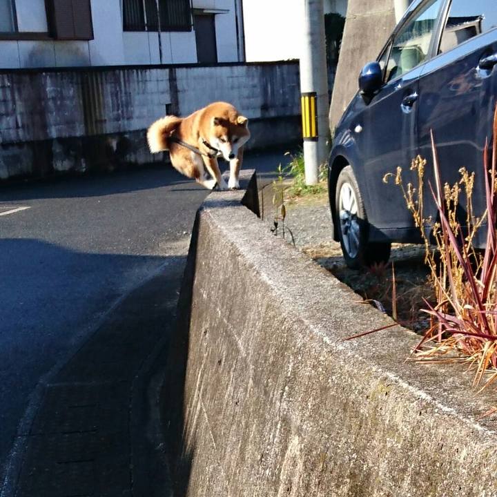 E91424ad d849 440c b6af 5a35e12395f2