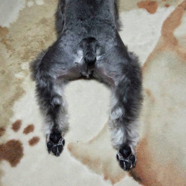 E914b012 bfce 4804 a1f2 5712a6b27af4