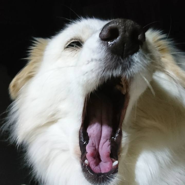 E91548ff 8b8d 44bb 82ae 80a3fe4a90f5