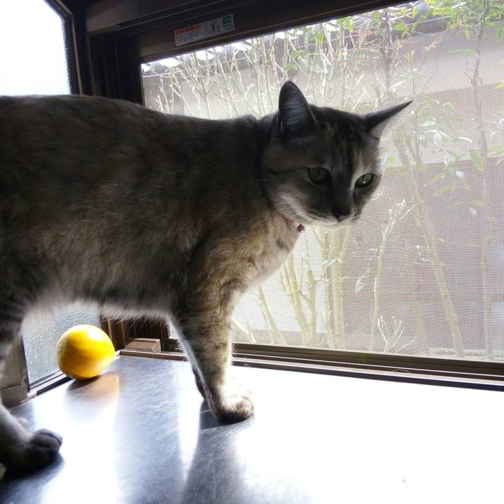 E9156299 6b69 4516 b2e7 a46aa6d9160a