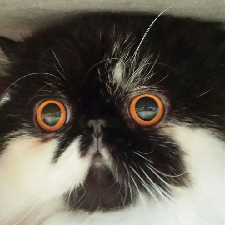 E9161b49 9b41 4b88 961e 078903d0592e