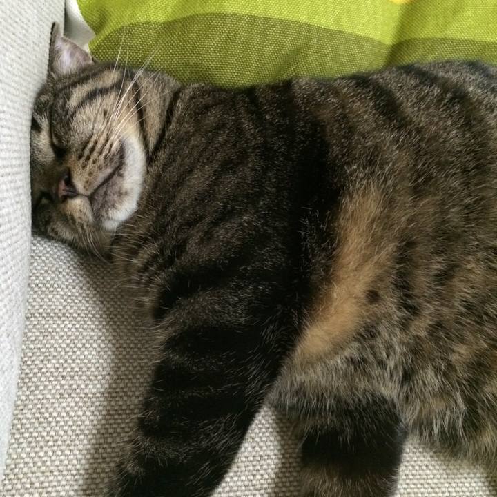 E9162e9e 5190 421a 9b5e e0ea650da9b6