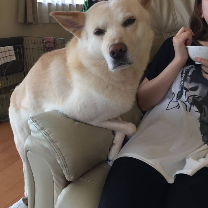 E9163e48 e2d9 4931 9e2e de2e0ed957e5