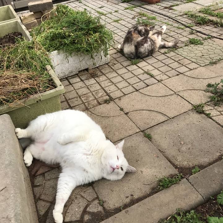 E9164e4d 6f1a 43c0 ba99 bdec0a734517