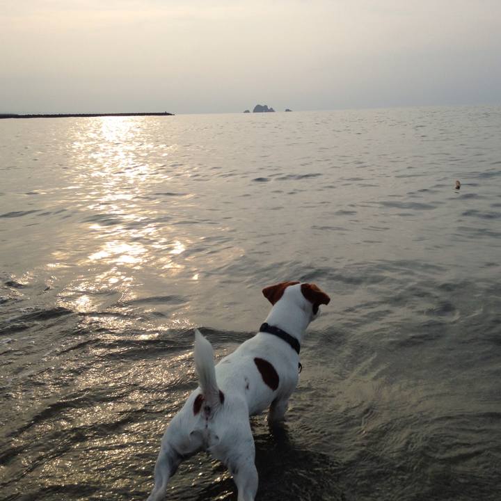 E9169164 f1cf 4678 90c5 3ffa747a53ee