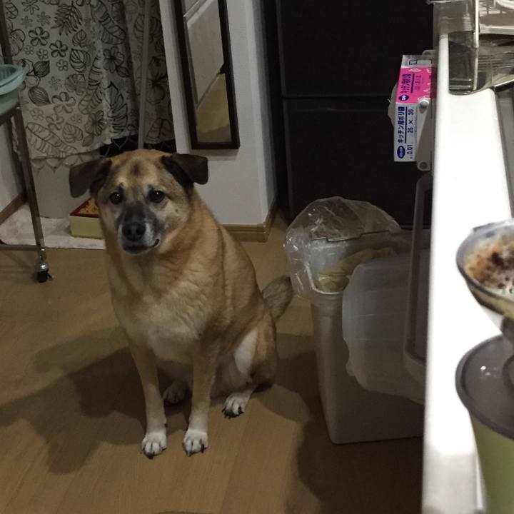 E916b620 2651 40ba 9693 fd2a7034adb8