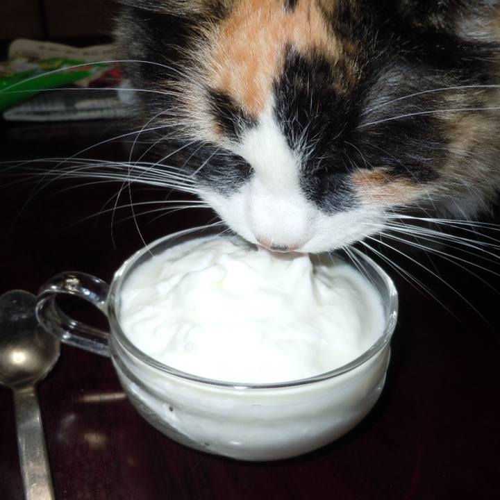 E9170f9e 8215 4f8c b485 ee303885a590