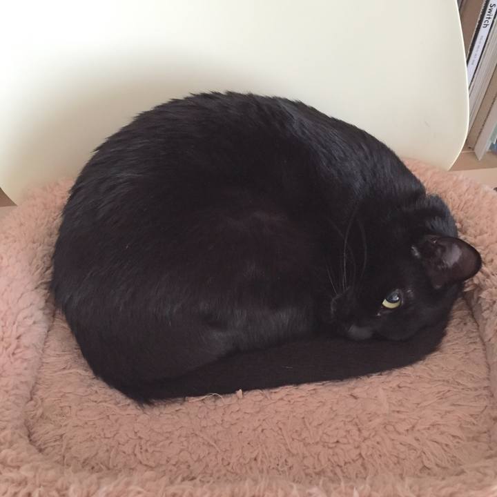 E9171b96 65d1 4795 968e 22eb93bd7af5