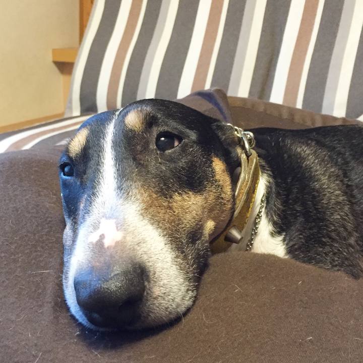 E9173a7c a0fd 40ec 9dfd 521ae804fa5f