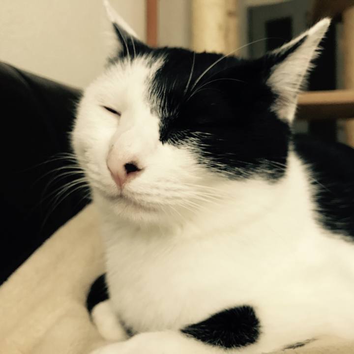 E9178b03 825f 4276 82f3 adc1d68160d0