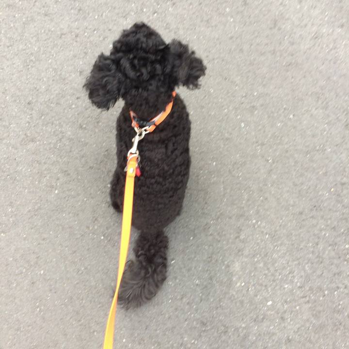 E918677d de04 4f37 8b81 7a8d95b2a18a