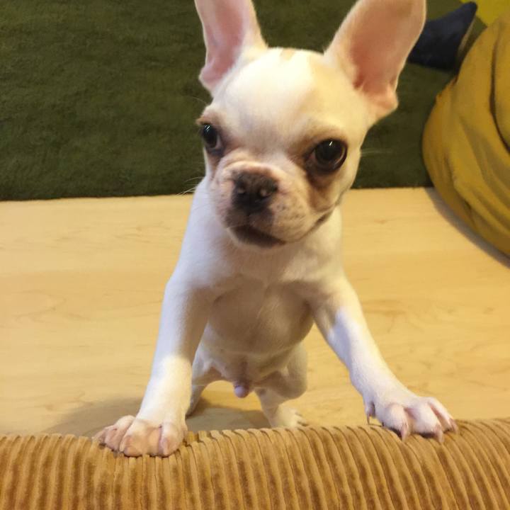 E9193054 2534 4a77 909a 976381026ff9