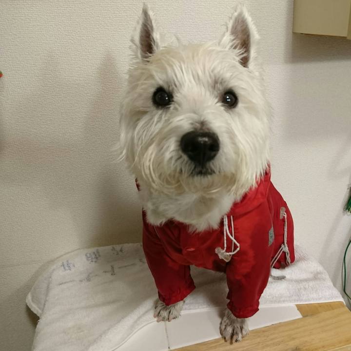 E919433f 2d68 4506 a7e6 bf16720f535c