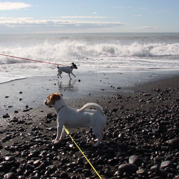 E9197682 b826 456b beff 3b7e0cdcd66a