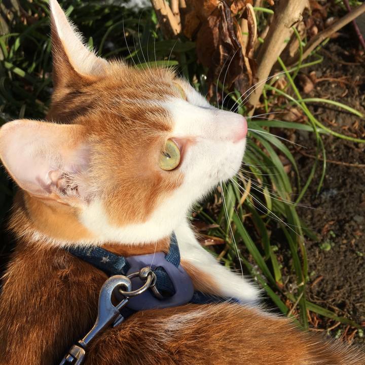 E919e97a 3fb4 4207 8f1b f8793082802c