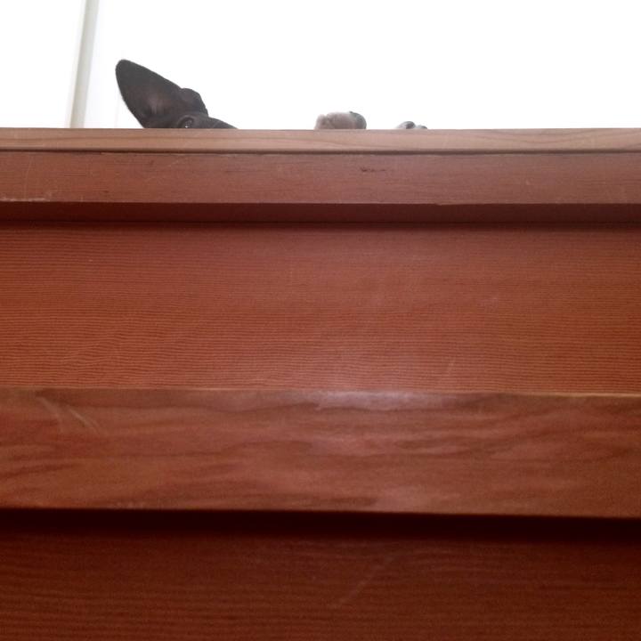 E91a1442 4124 4f86 b0a8 8db79f198e64