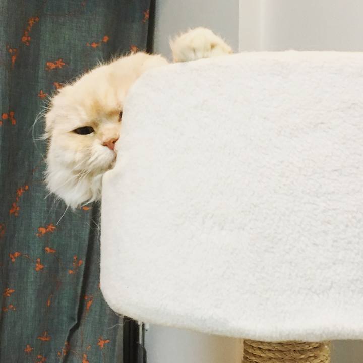 E91a3d45 19db 465e b8be 8ac9fb98105e