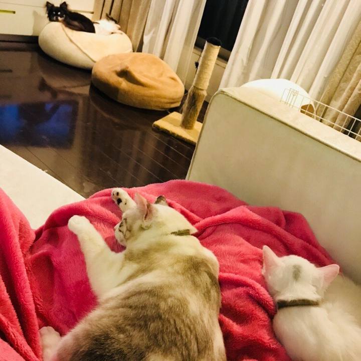 E91a49e3 9feb 4d3d ae59 b3548387535a