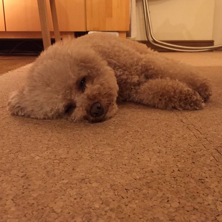 E91a732c 5fe1 4b5a a6a4 baa88a1c1529