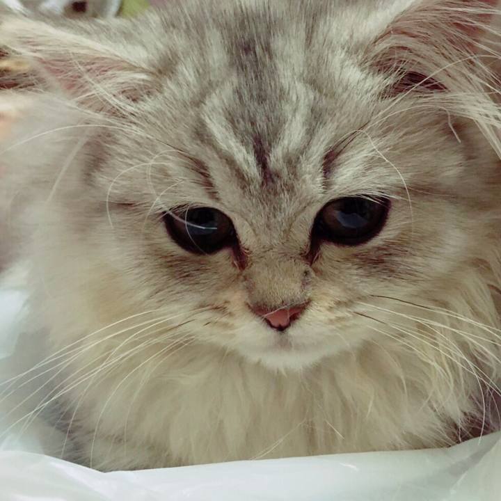 E91ad643 868d 48a1 a92b a83889bf7215