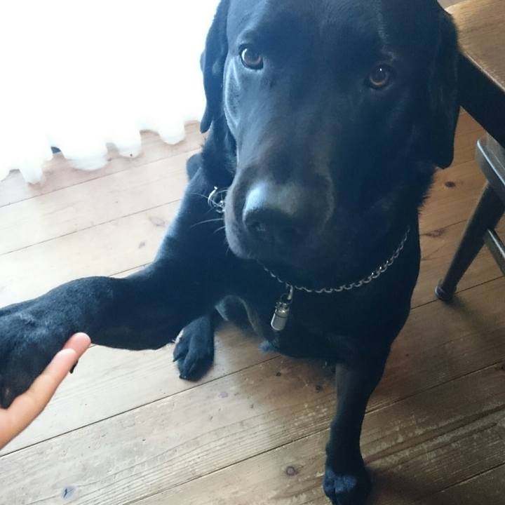 E91aea40 8607 42e5 a110 ccd102a724a7