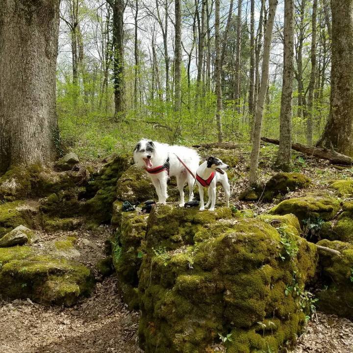 E91b1cdb 8b6b 434e ae45 4e45daf407ad