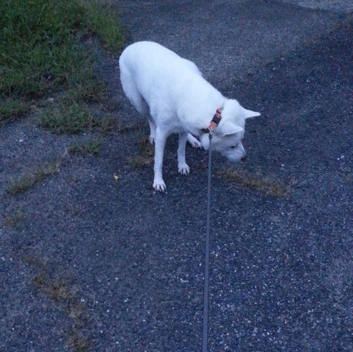 E91ba2a9 faf7 4b35 8662 b2b631ebfa6a