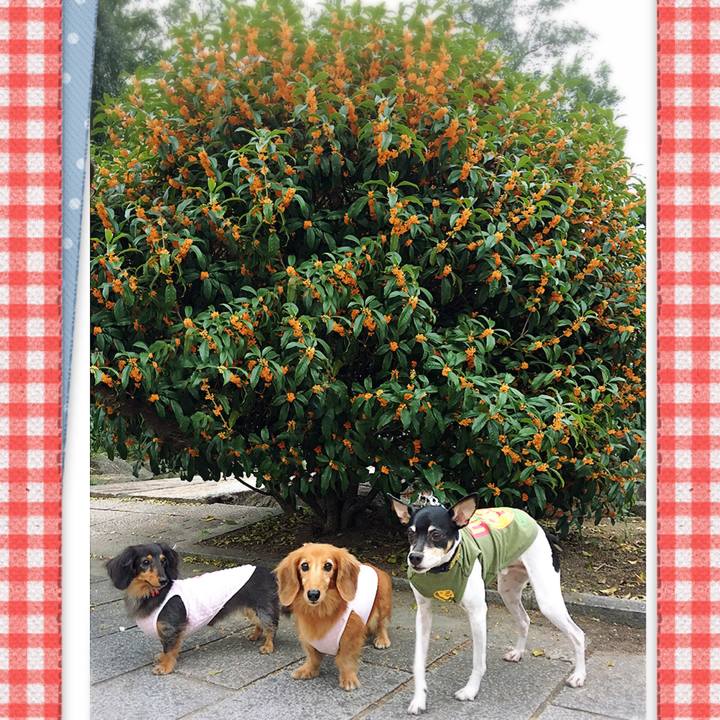 E91c8bc7 3b0a 4efd b437 63569da4ef84