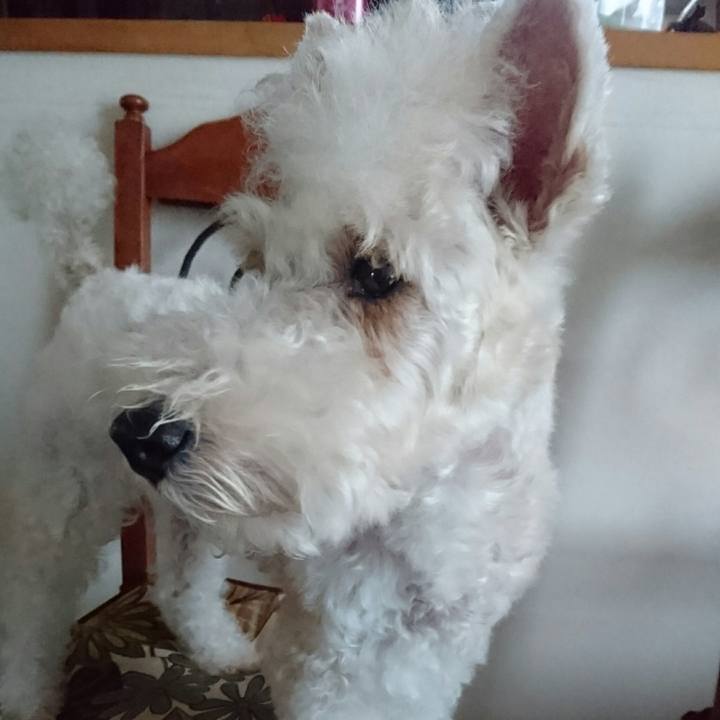 E91cbc80 e63d 4161 b1dc ddb4ce01df57