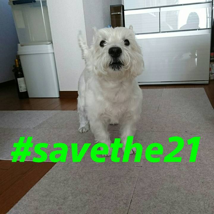 E91cc31e d909 4143 98bd b5a34483dea2