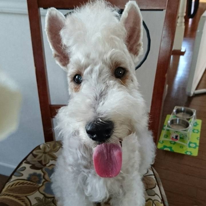 E91ccdb3 23e0 4b2f 9c3e 7623aa308977