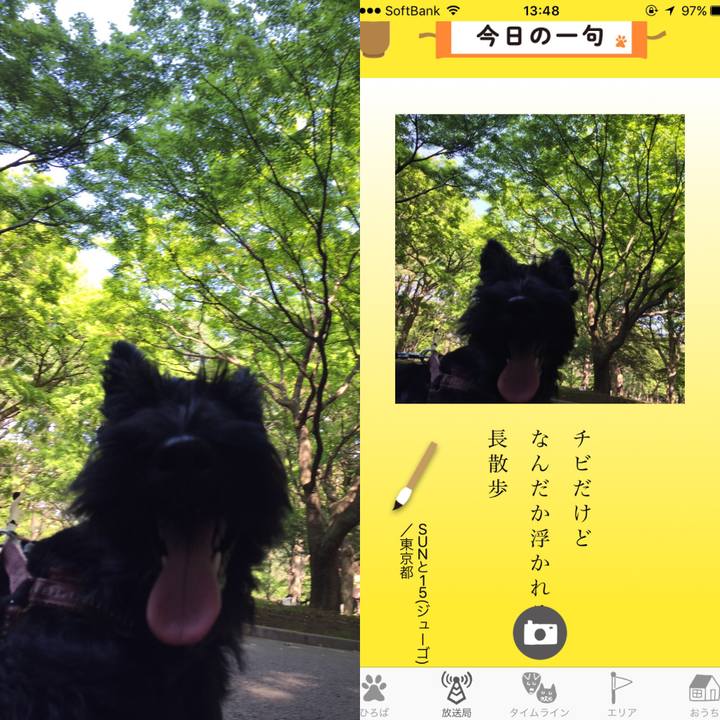 E91d0994 34be 495e a32b e9d81b8c4ba3