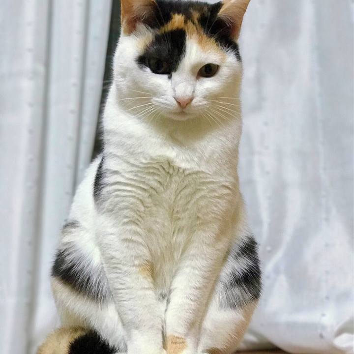 E91d0d20 4fbb 462c 8fbb 9d4dbbf3c23c