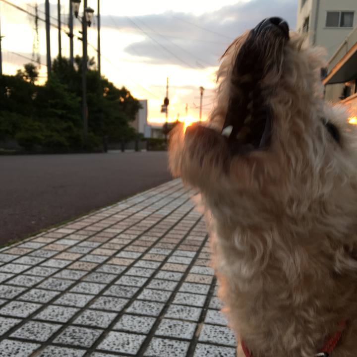 E91d24ba 0e47 4b1a 804a 64f92a863963