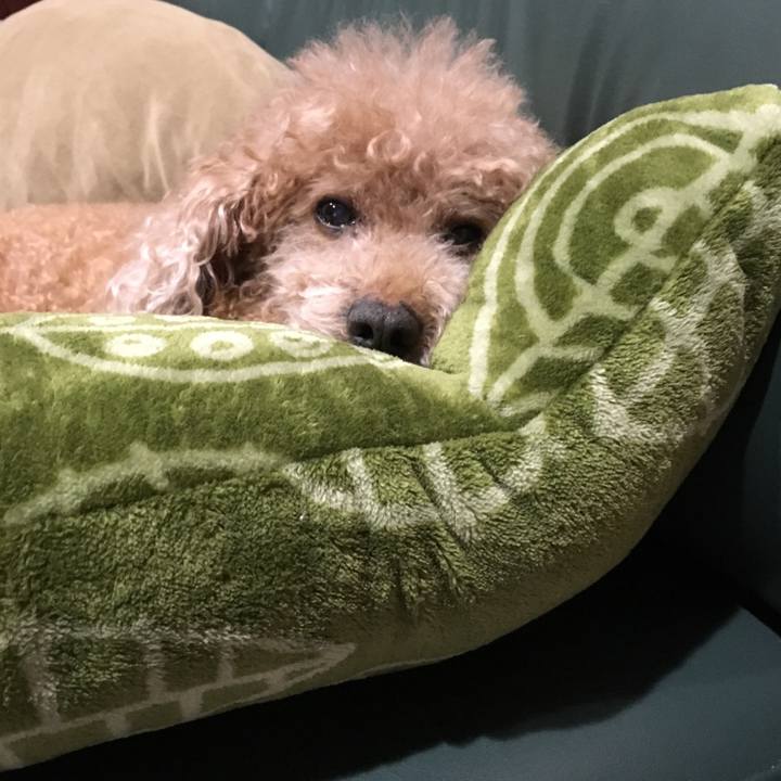 E91db76a 17dc 4300 9506 63a36d5edaae