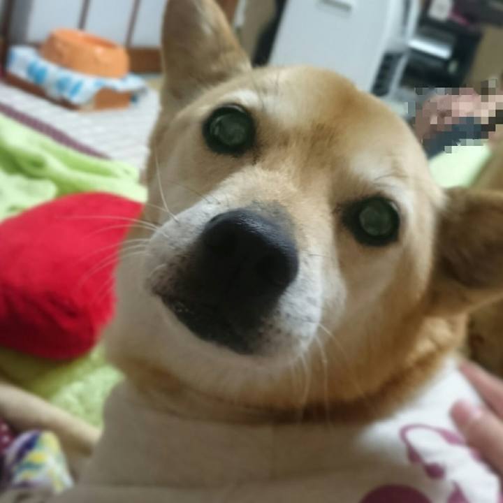 E91ddc0a 9667 45a1 99b4 c69a3152770a