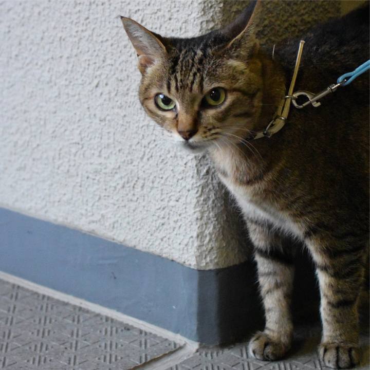 E91defbe 388d 49fb bbcf 5fea9c30869e