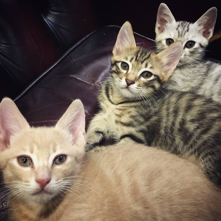 E91ee081 c87a 47dc b840 59ada8ca62be