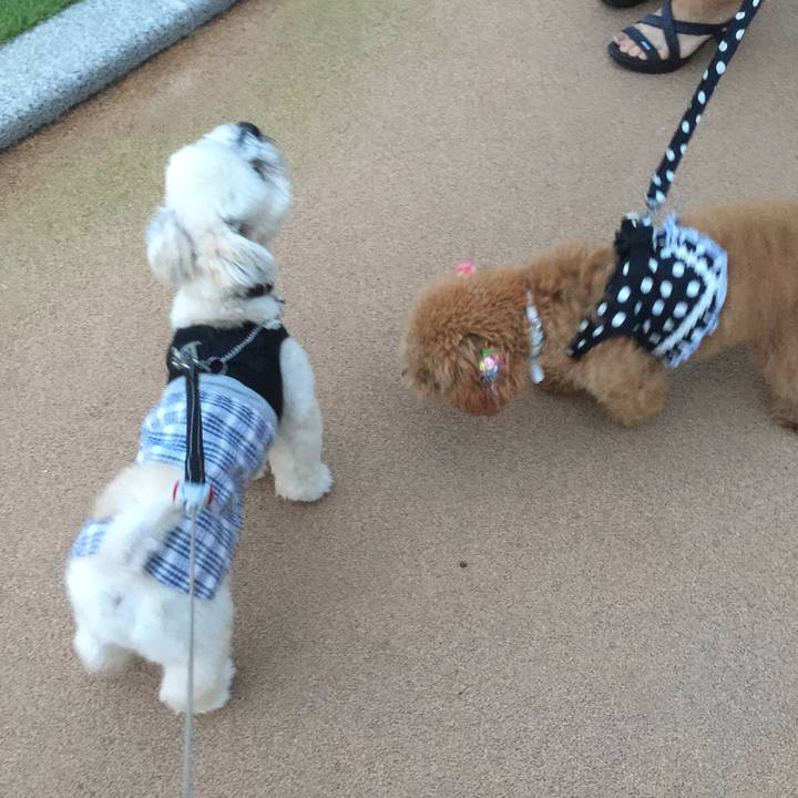 E91f2472 b91c 43f9 91e8 853998e3d973