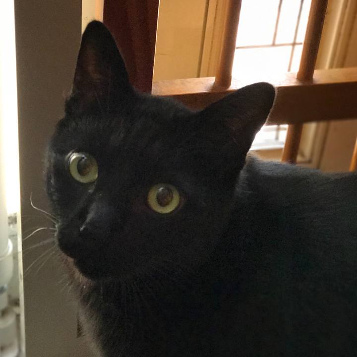 E91f3f76 f0fc 4f48 ad9d 58d65fee4409