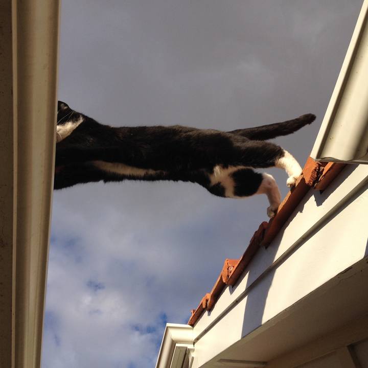 E91f7db4 1fa4 459d 9565 624892e4eb91