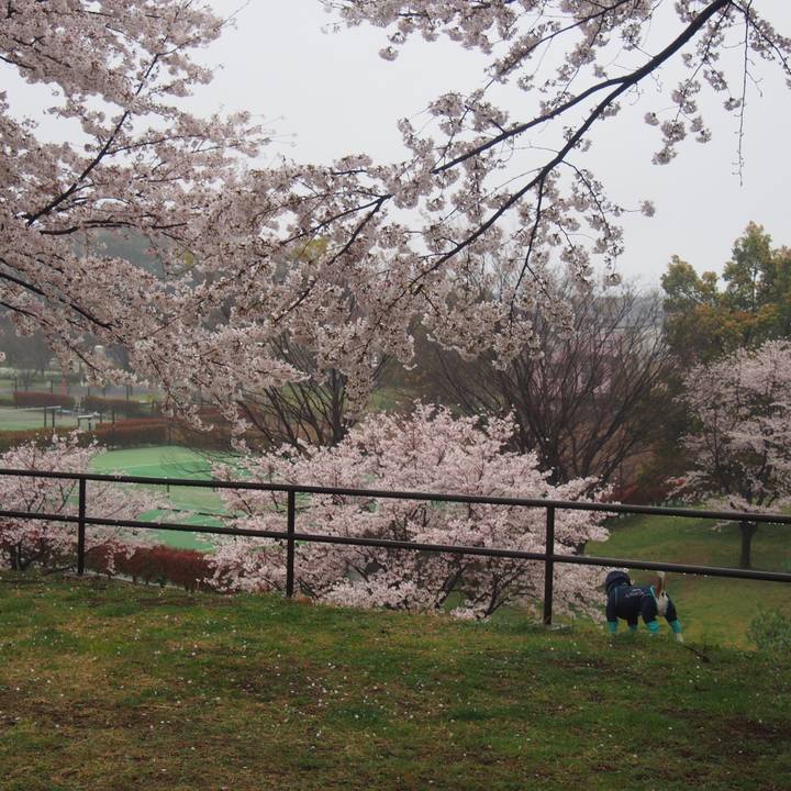 E9200b7d 4993 488c 92de ea4aed5faa7b