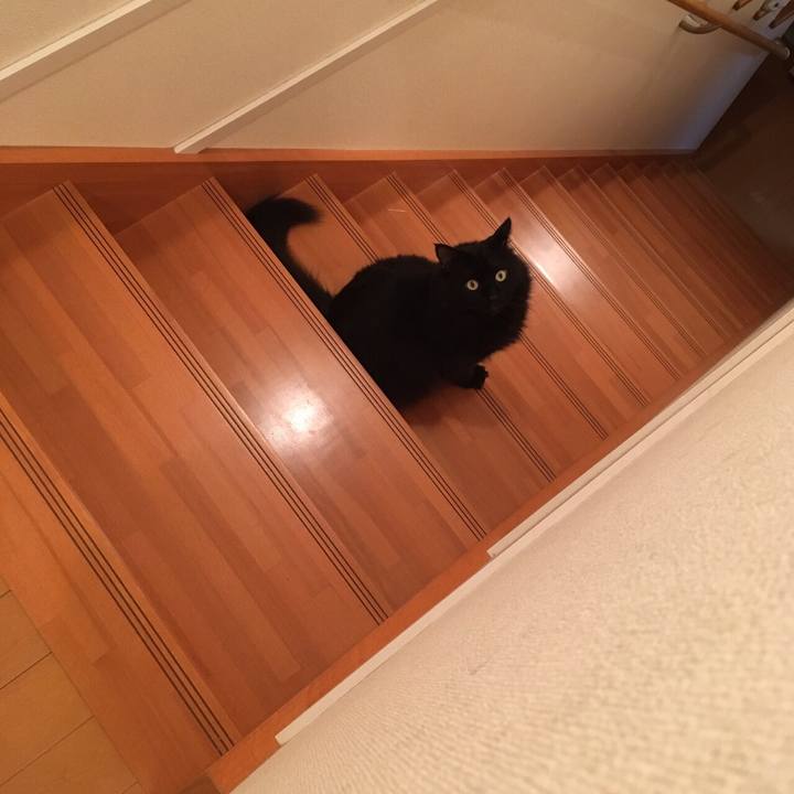 E92053ac 56af 4e61 ad31 cd03d6bab050