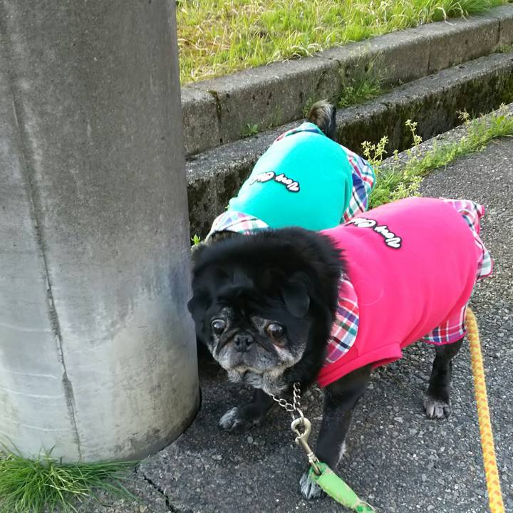 E920be55 52c1 469e b7cd 22d8c56949a6