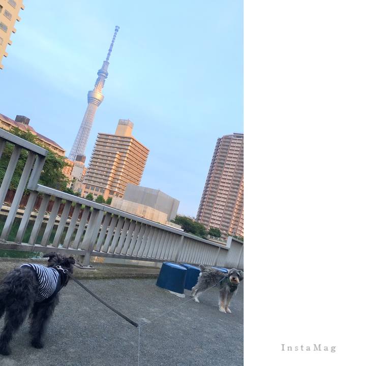 E9217006 4142 4df0 ac7e 8f7fe2289113