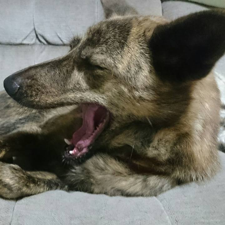 E921cd7b af43 415f 8171 84948f6ac7be