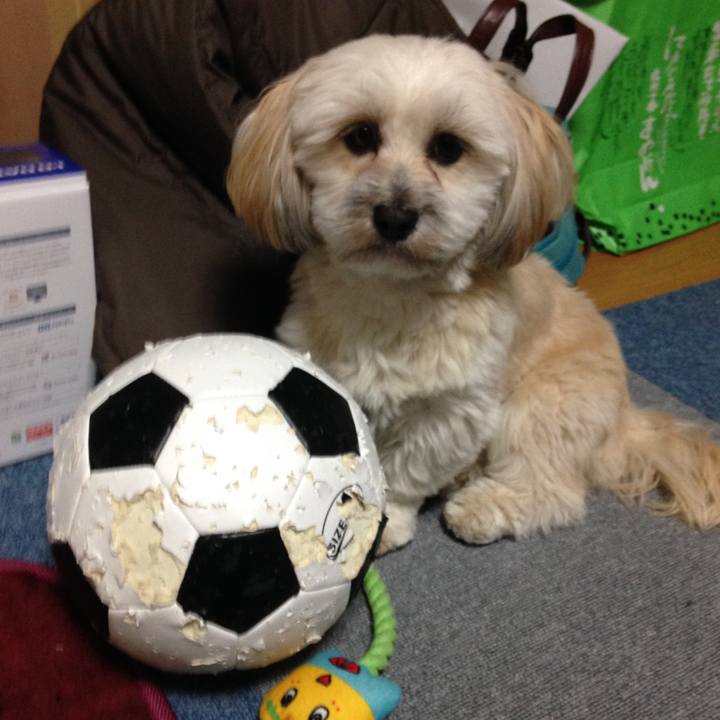 E9220651 d0bf 4468 9090 8230b3cb6f2f