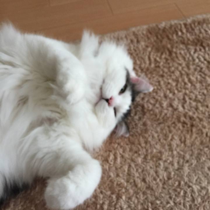 E9220d68 72fd 462f 8de1 18db1feb2f3e