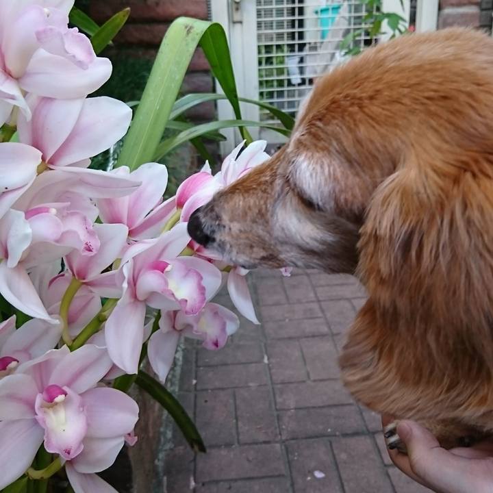 E9225e23 7a92 405d b728 197b07275024